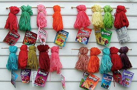 Can You Use Koolaid To Dye Your Dog Can You Use Koolaid To Dye Your Dog