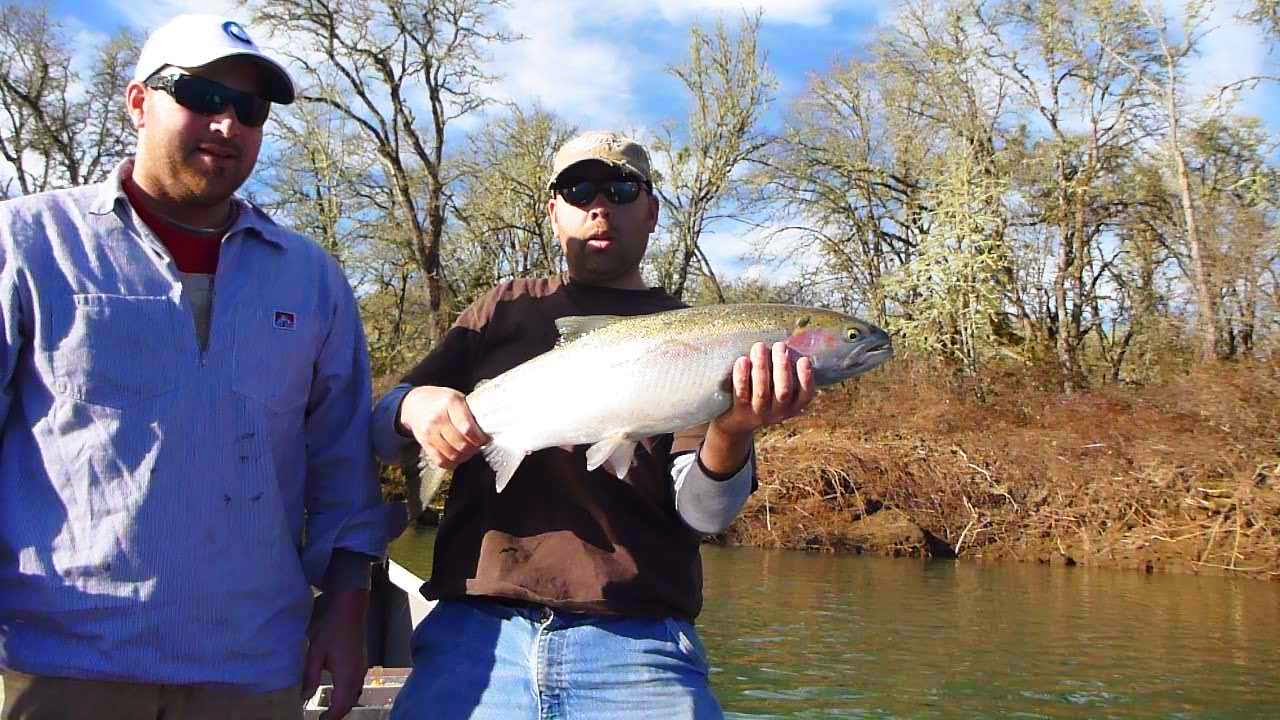 Umpqua River Steelhead Fishing.