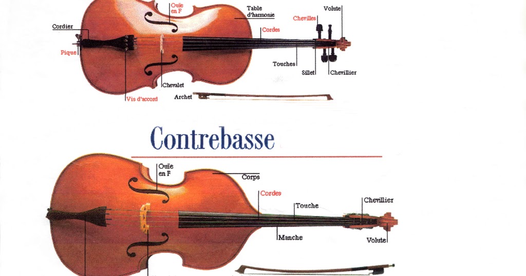 Classe de CPa 20122013 Les instruments à cordes frottées