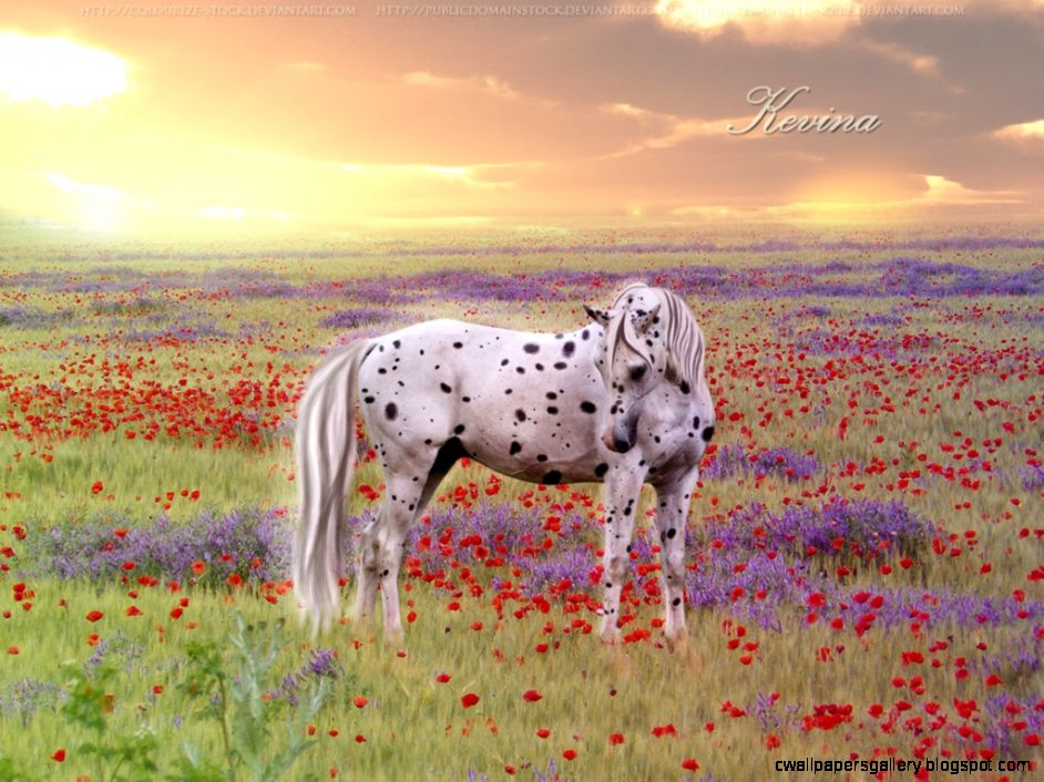 Horses In Flower Fields