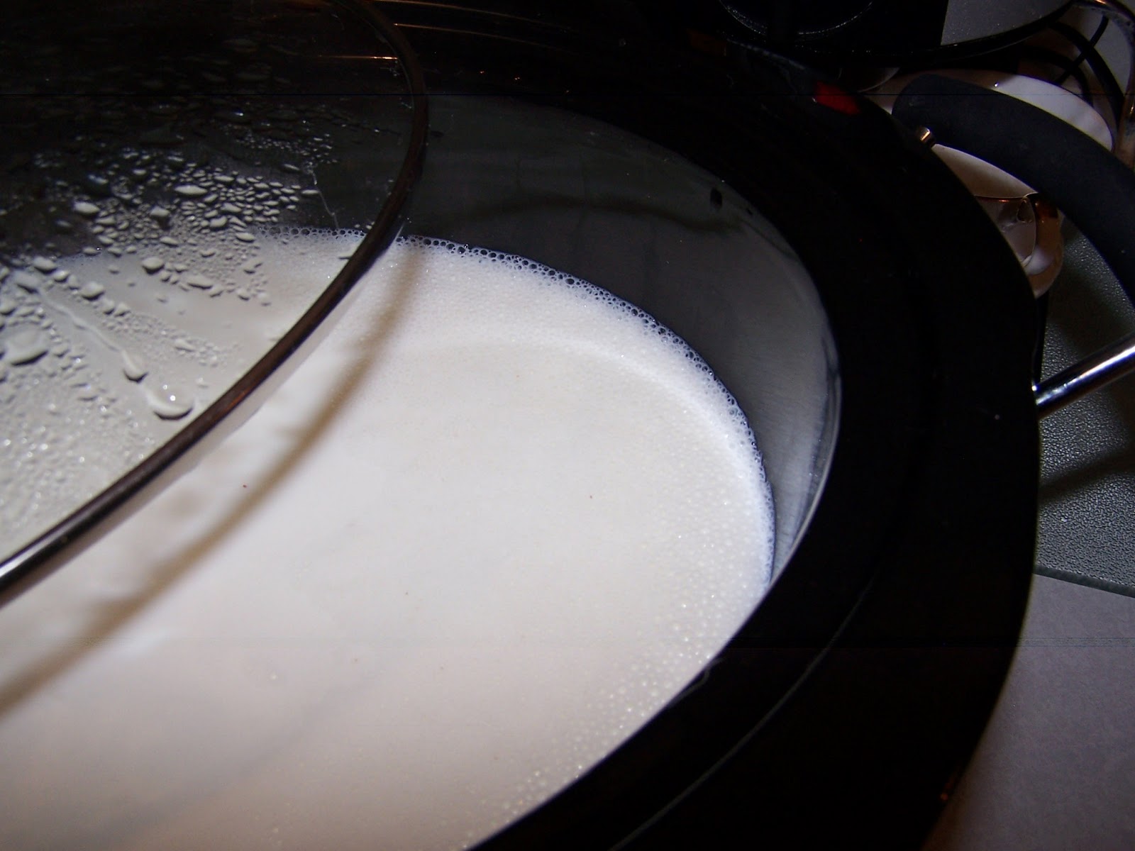 DIY Crock Pot Greek Yogurt. gluten free, sugar free, lactose free