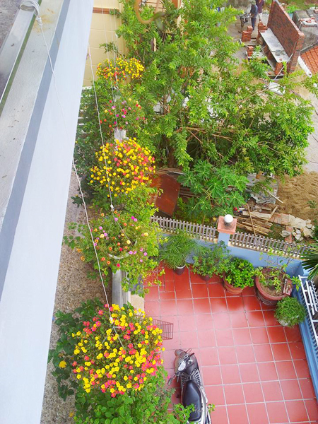 [Image: ngoi-nha-no-hoa-muoi-gio-dep-7.jpg]