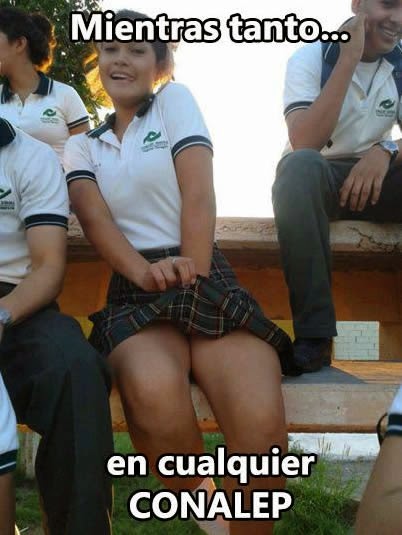 frases de prostitutas putas mamando frases de prostitutas putas mamando