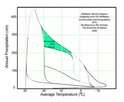 rainforest temperate precipitation annual graph average temperature figure source