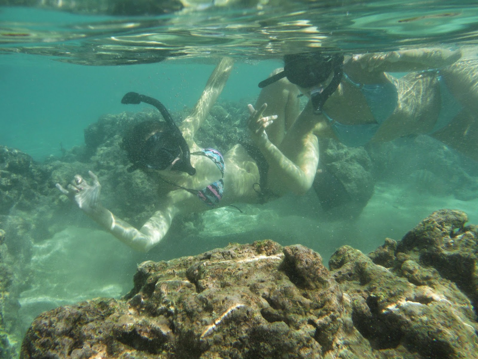 Hiking and Snorkeling on Oahu Snorkeling in Hanauma Bay Nature Preserve