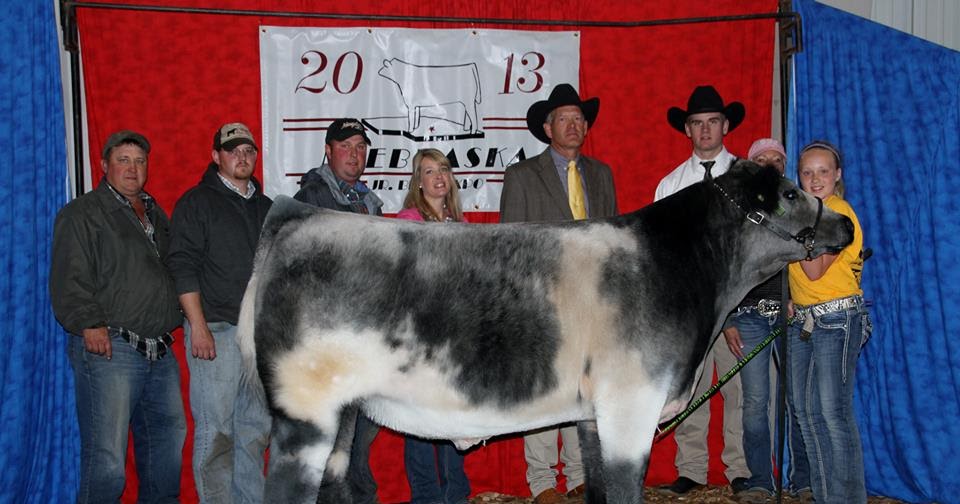 Chad Moyer 2013 NEBRASKA JUNIOR BEEF EXPO RESULTS