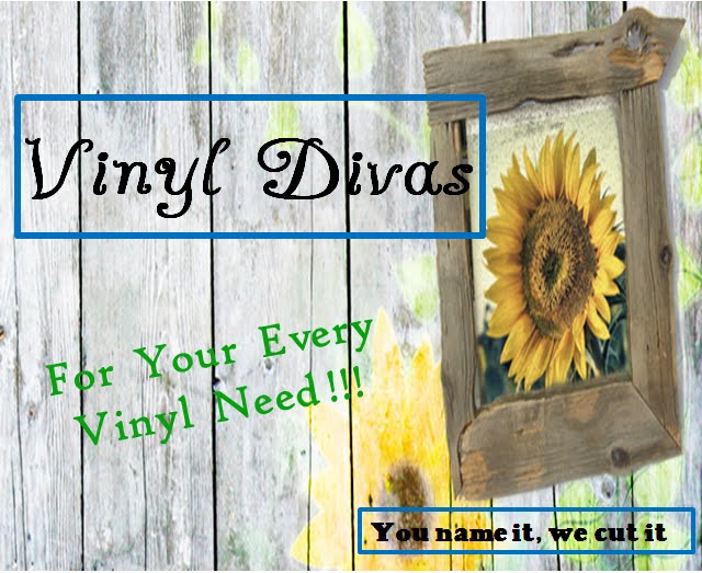 VINYL DIVAS