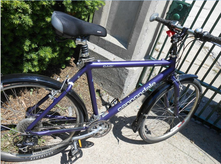 cannondale m500 purple