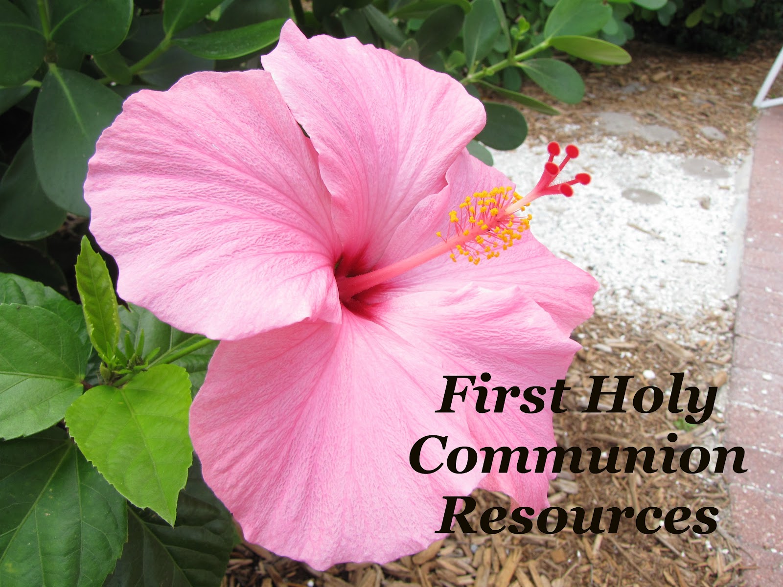 Class Activities for Catholic First.