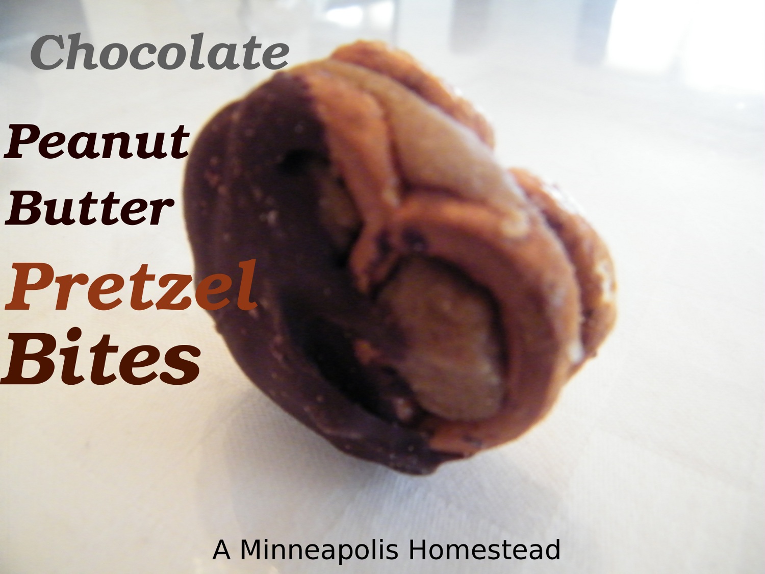 Chocolate Peanut Butter Pretzel Bites Minneapolis Homestead