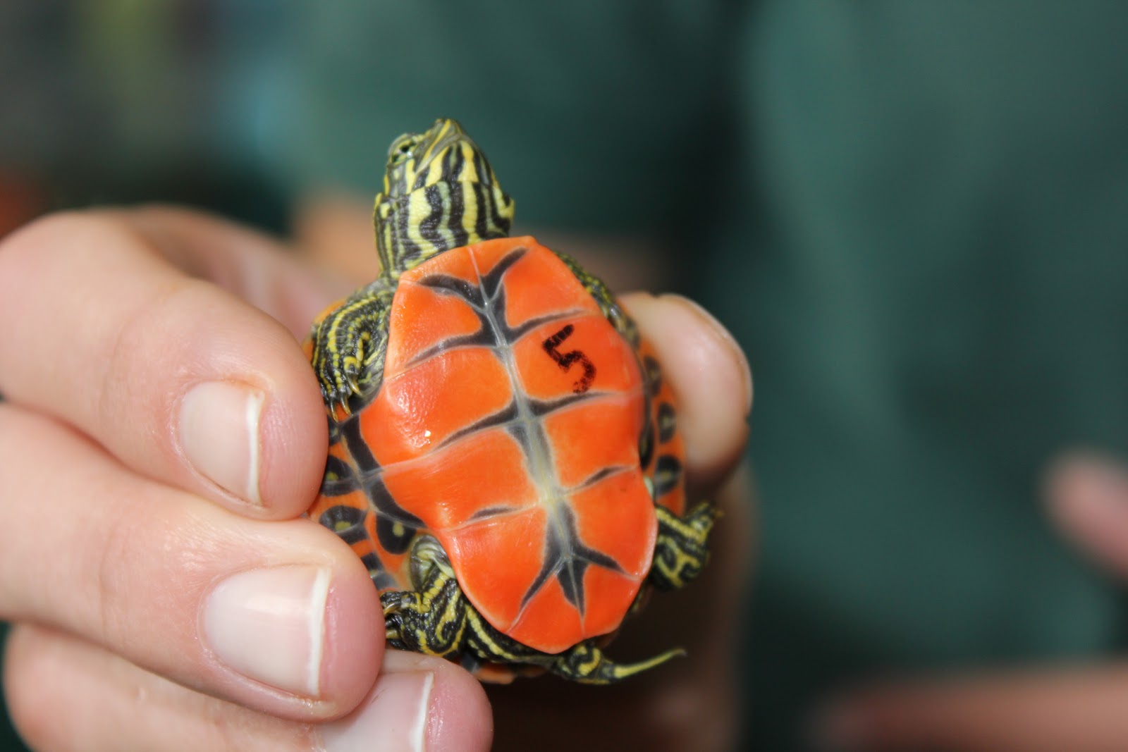 Aquarium News and Updates