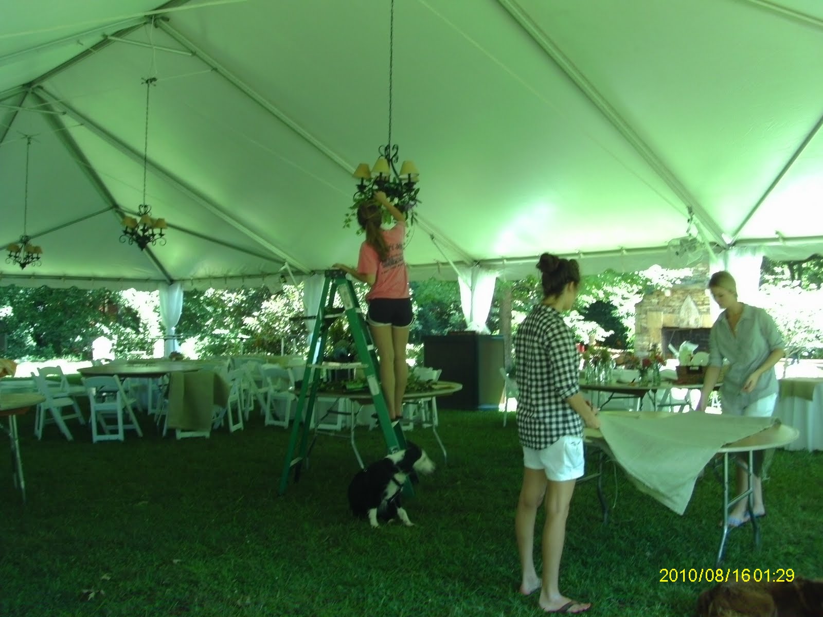 Oakton House and Gardens