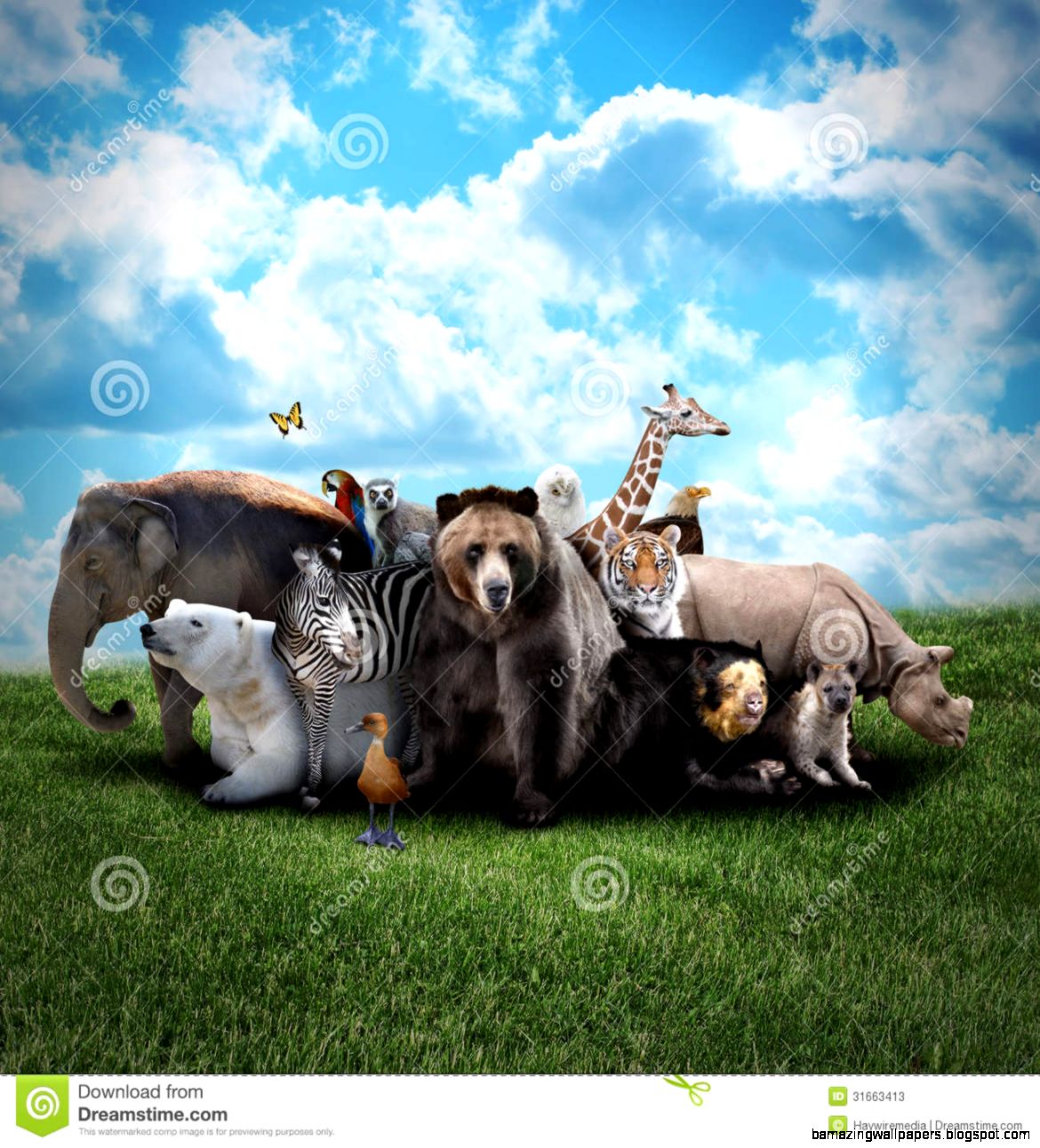 Zoo Animals On Nature Background Stock Photos   Image 31663413 Zoo Animals On Nature Background Stock Photos   Image 31663413