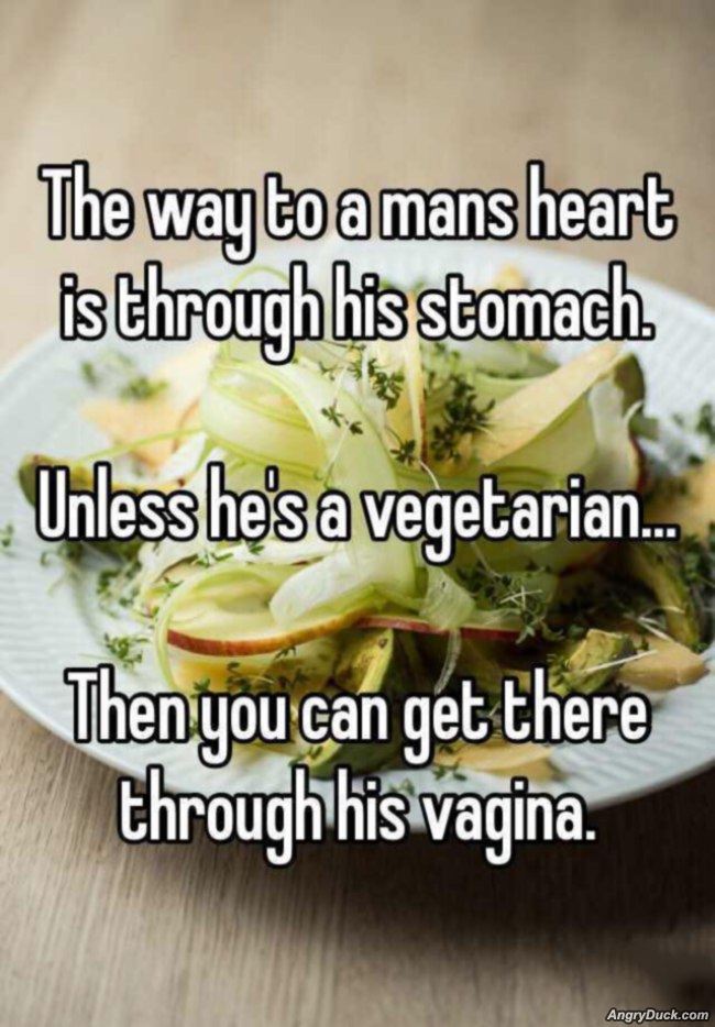 dejta vegetarianer definisjon