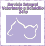 veterinario24hs1559291433