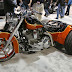 Harley-Davidson Trike Picture