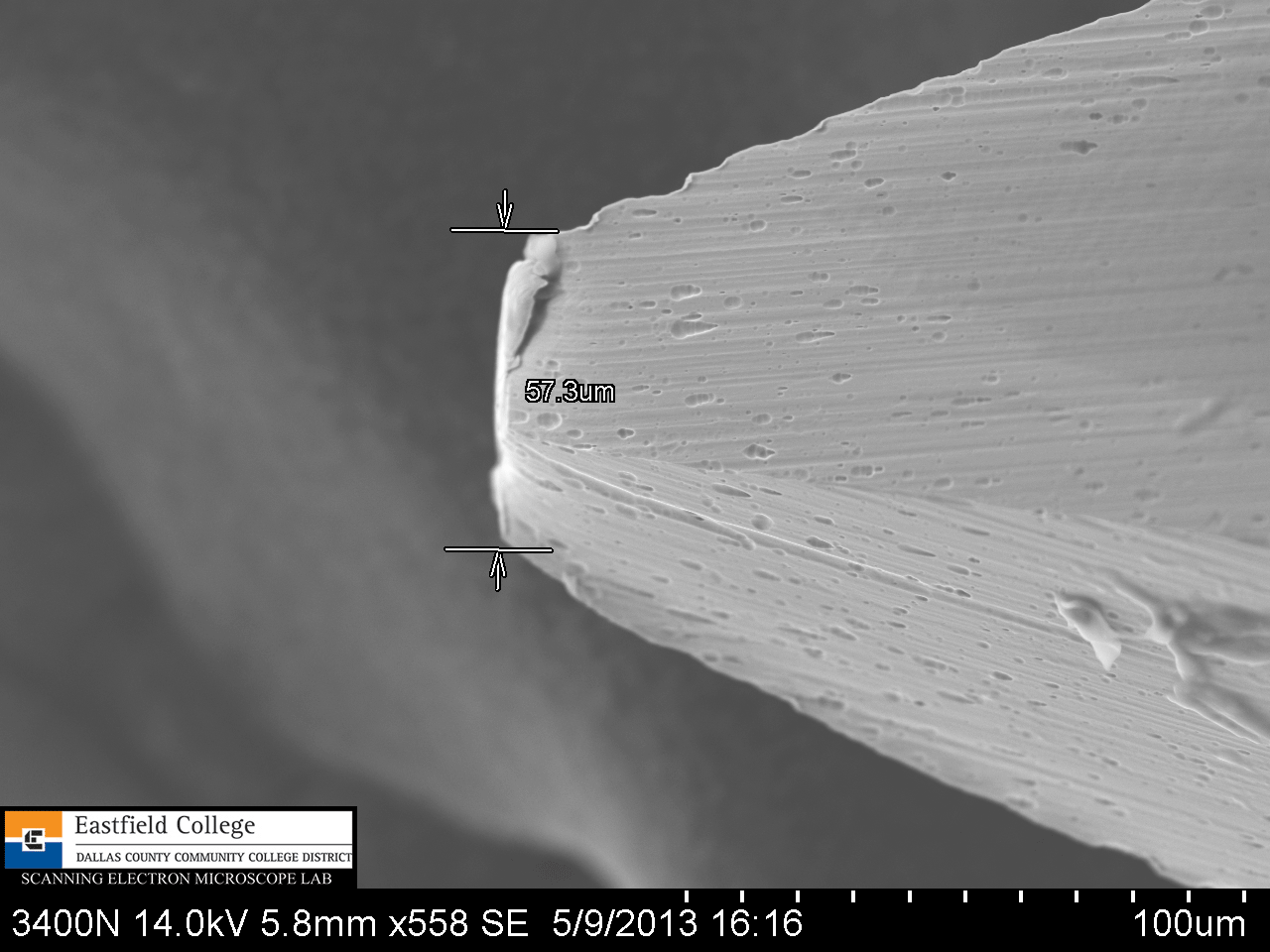 Scanning Electron Microscope Blog How Sharp is a Hypodermic Needle?