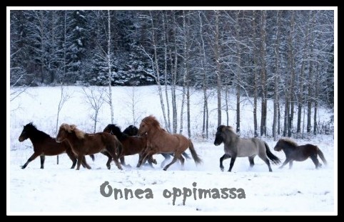 Onnea oppimassa