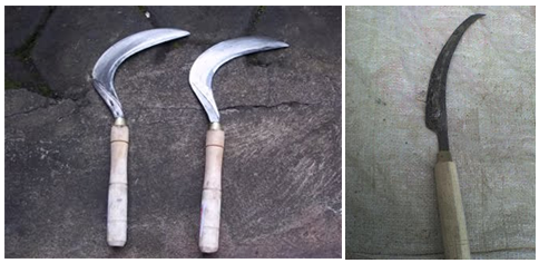 Alat &amp; Mesin Pengolahan Tanah dan Padi (Tradisional dan Modern