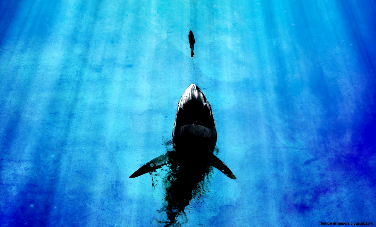 Watch Out For Sharks High Definition Widescreen Wallpapers Your Watch Out For Sharks High Definition Widescreen Wallpapers Your