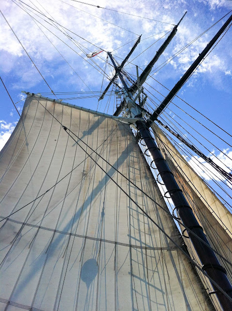 the sail of the californian tall ship