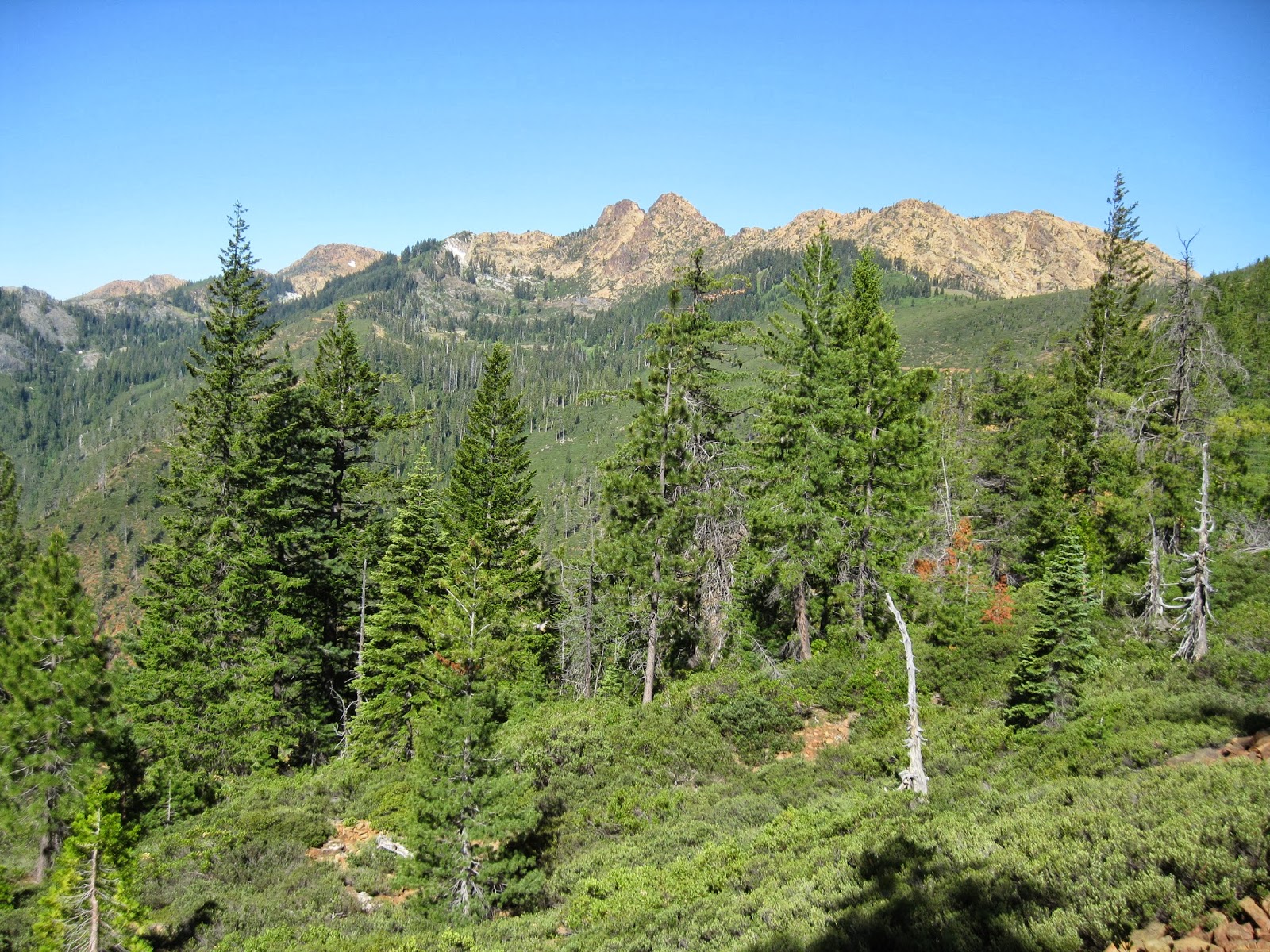 The Siskiyou Crest Program Red Buttes Wilderness Natural & Cultural