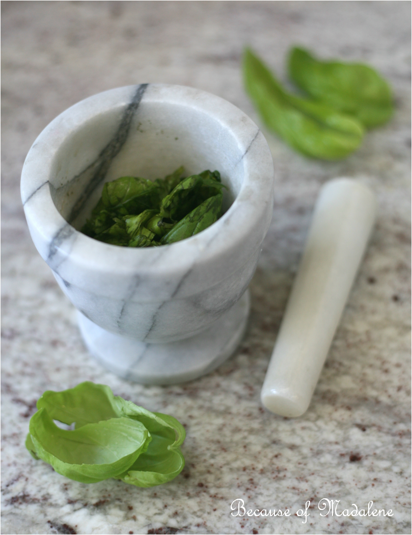 Because of Madalene Chocolate Basil Ice Cream