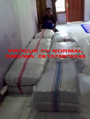 BUKTI PENGIRIMAN CV NORMAL KE PEMBELI