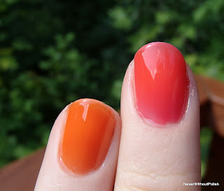 Zoya Coraline vs Zoya Kate