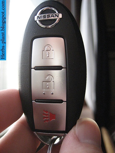 Nissan Rogue car 2013 key - صور مفاتيح سيارة نيسان روج 2013 Nissan Rogue car 2013 key - صور مفاتيح سيارة نيسان روج 2013