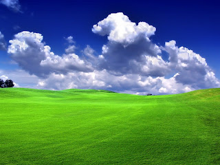 Grass Wallpapers HD