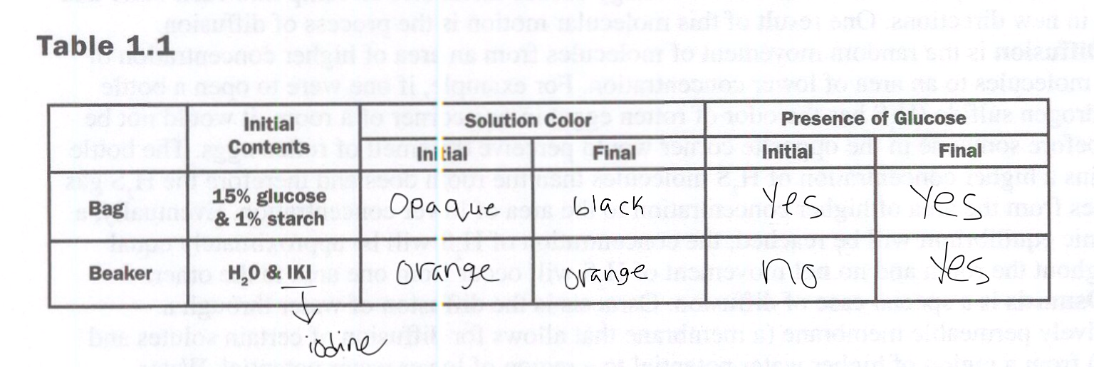 AP Bio Tom Skilling's Table Diffusion Osmosis Lab