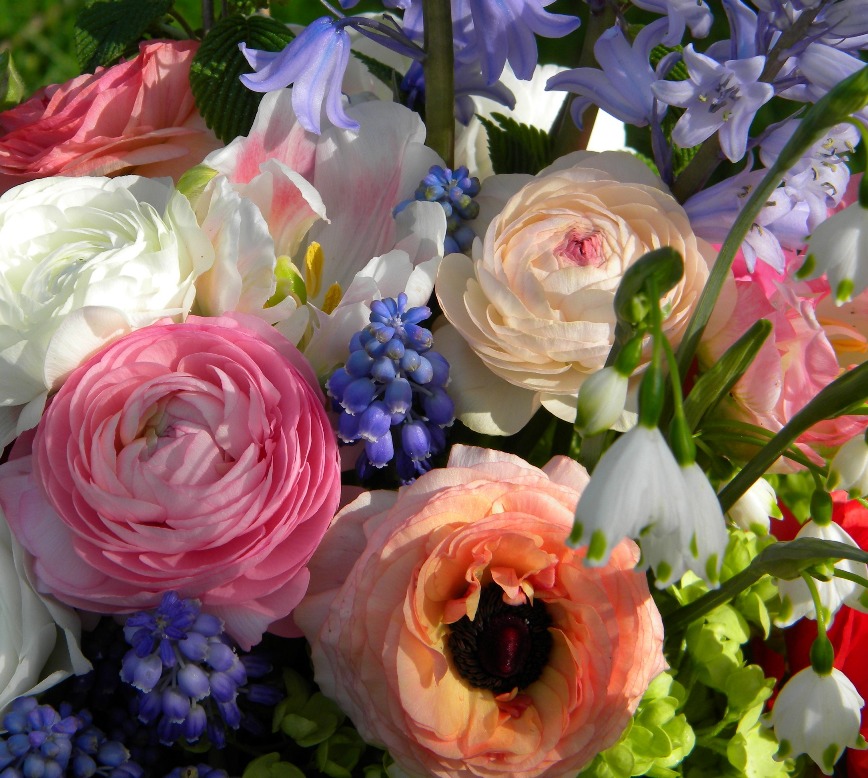Wedding Flowers from Springwell Getting Ready Garden Flowers for