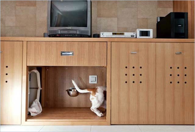 Indoor Dog House Designs photos