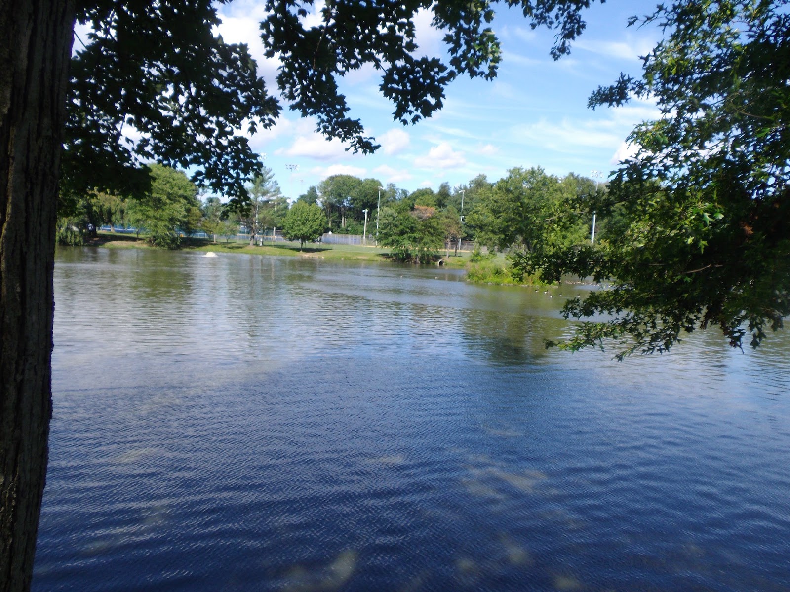 The Great Lakes of NYC Fishing in West Orange New Jersey
