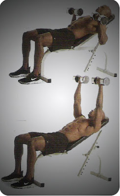 GYM: Press Inclinado con Mancuernas