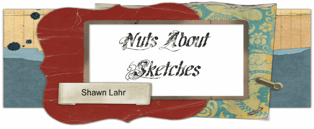 Nuts About Sketches