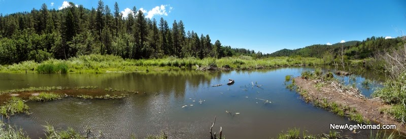 New Age Nomad: Coyote Creek State Park