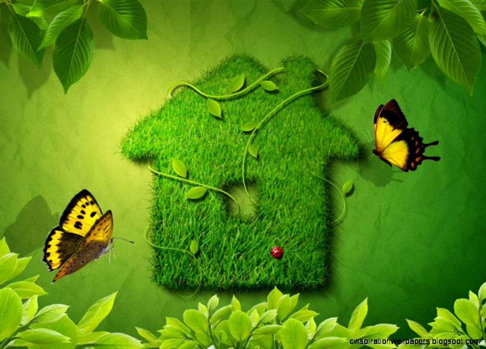 Wallpaper Nature Beauty Green Hd Pictures 4 HD Wallpapers Wallpaper Nature Beauty Green Hd Pictures 4 HD Wallpapers