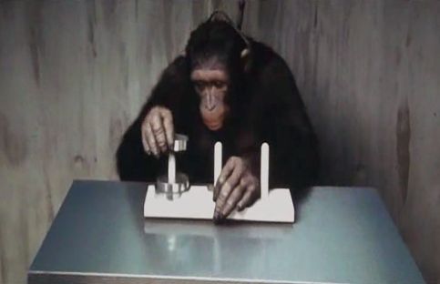 小説ドラマ映画漫画アニメを解析する マスメディアの中の数学 Mathematics In Mass Media 映画 猿の惑星 創世記 ジェネシス Rise Of The Planet Of The Apes