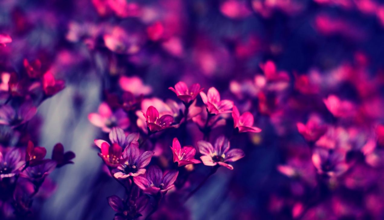 Tumblr HD Wallpapers HD Images New