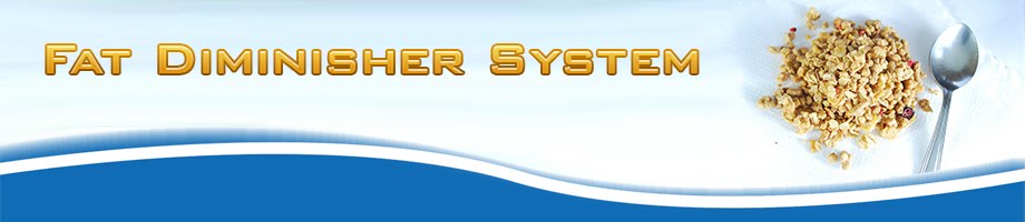 Fat Diminisher System Free Download  pdf 
