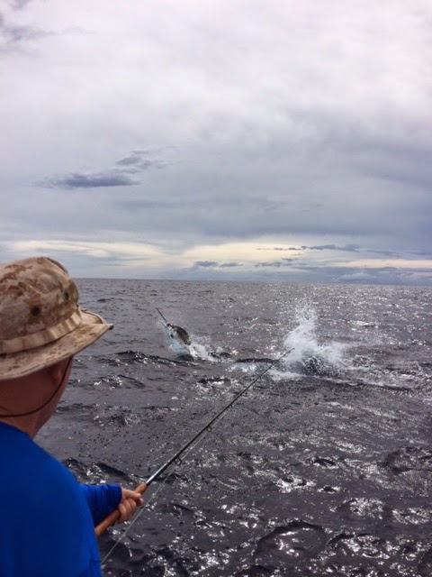 DEGS Fishing Report: More blue marlin on the fly