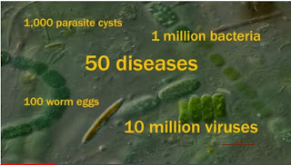 image showing how 1 gm of shit/crap/feces/stools contains millions of viruses and causes diarrhea, which is no. 2 cause of children's death world wide
