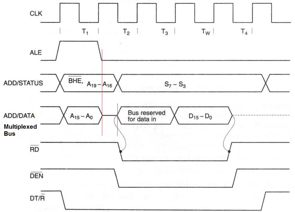 Ale Meaning Law at Shelia Obrien blog