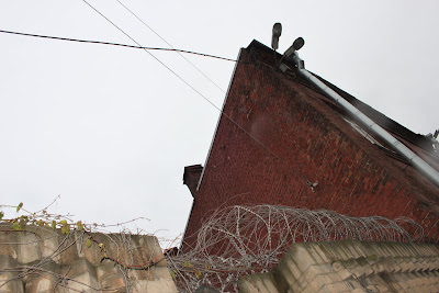 Так же статья фото Санкт-Петербурга предлагает вам посмотреть.