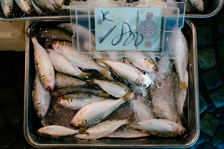 Tsukji Fish Market, Tokyo Japan