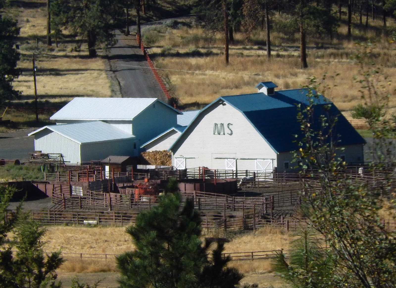Cat Patches John Day, Oregon, to Home