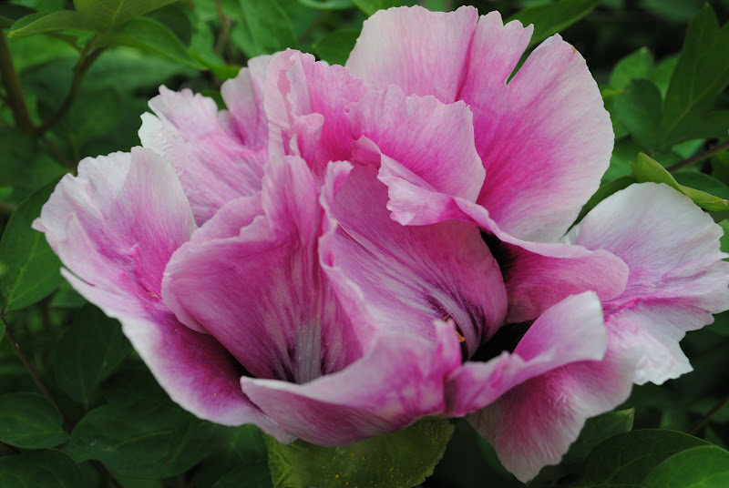 sexleksaker västerås rosa sidorna sexleksaker västerås rosa sidorna