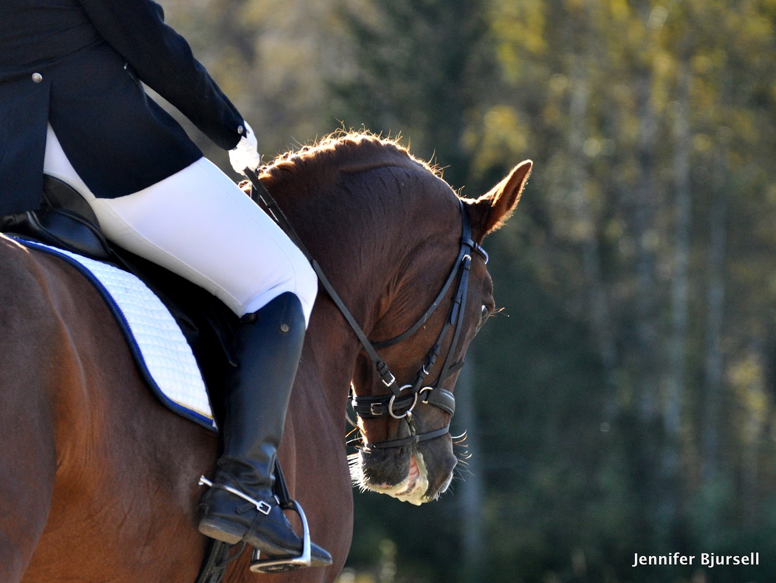 bilder på dejtingsida